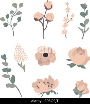 Anemonblüten- und Baumwollvektorset isoliert auf weißem Hintergrund. Stock Vektor