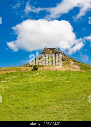 Die ikonische Form von Roseberry Topping mit Grasland im Vordergrund. Vor blauem Himmel gesehen. North Yorkshire. UK Stockfoto