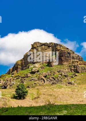 Die ikonische Form von Roseberry Topping mit Grasland im Vordergrund. Vor blauem Himmel gesehen. North Yorkshire. UK Stockfoto