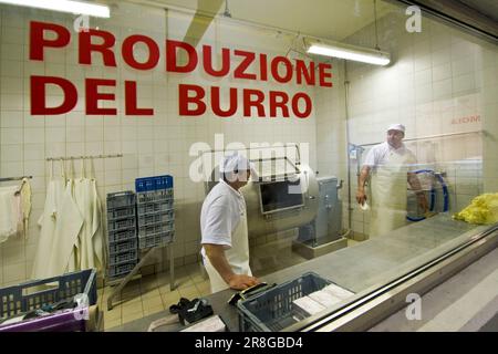 Making Butter, Caseificio Del Gottardo, Airolo, Kanton Ticino, Schweiz Stockfoto