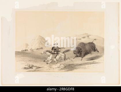 Buffalo Hunt Chasing Back No 12 [] von George Catlin, geboren in Wilkes-Barre, PA 1796, gestorben in Jersey City, NJ 1872 Stockfoto