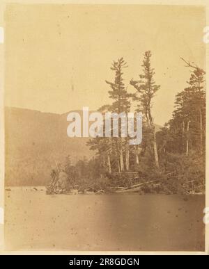 Unbenannt aus dem Portfolio The Forest: Adirondack Woods 1859 von William James Stillman, geboren in Schenectady, NY 1828, gestorben in Surrey, England 1901 Stockfoto