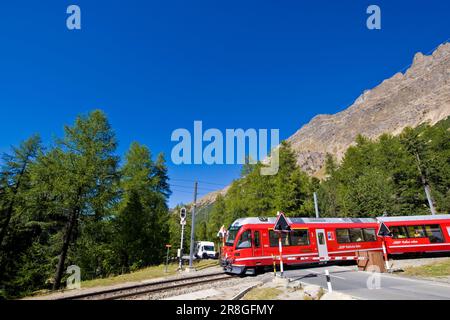 Bernina-express-Zug, Bernina pass, Schweiz Stockfoto