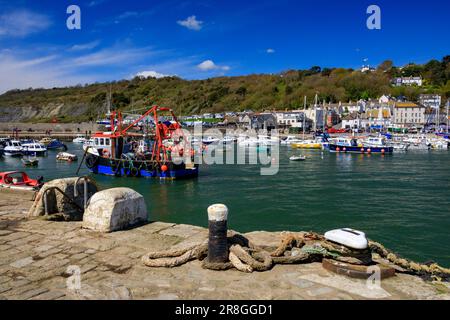 Farbenfrohe Angel- und Vergnügungsboote im Hafen von Lyme Regis an der Jurassic Coast, Dorset, England, Großbritannien Stockfoto