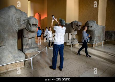 Besucher stehen am 15. Juni 2023 im Nahost-Museum im Pergamon-Museum in Berlin neben den Torlöwen aus Samal/Zincirli aus dem 10. Bis 8. Jahrhundert v. Chr. Das Pergamon soll für Besucher wegen einer radikalen Renovierung ab 23. Oktober 2023 geschlossen werden und soll bis 2027 teilweise wieder eröffnet werden. (Foto: Emmanuele Contini/NurPhoto) Stockfoto