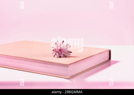 Kleine Blume von gymnocalycium-Kaktus auf Buch, pinkfarbenes, monochromes Stillleben, Stockfoto