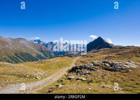 Bernina Pass, Schweiz Stockfoto