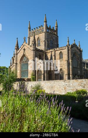 Dunfermline Abbey von Dunfermline Carnegie Library & Galerien Garten, Fife, Schottland, Vereinigtes Königreich Stockfoto