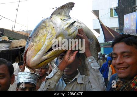 Fischmarkt, Chittagong, Bangladesch Stockfoto