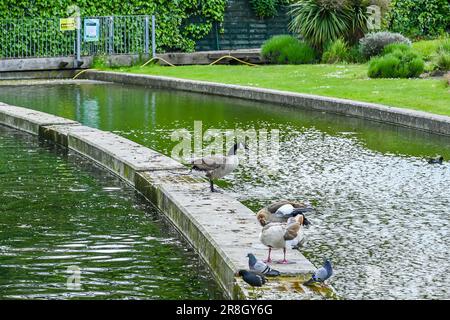 Wasserspiele und Pflanzen im Ecology Pavilion am Mile End Park, London Stockfoto