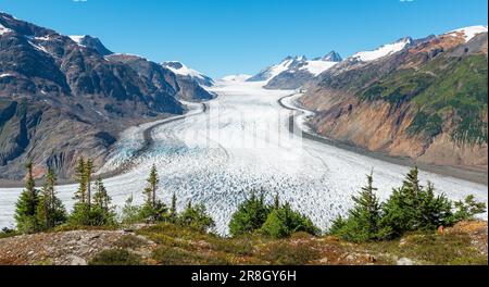 Lachsgletscherpanorama in der Nähe von Stewart, British Columbia, Kanada. Stockfoto