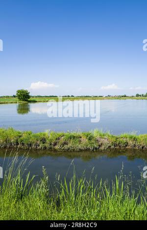 Italien. Lomellina. Barbavara. Reisfelder Stockfoto