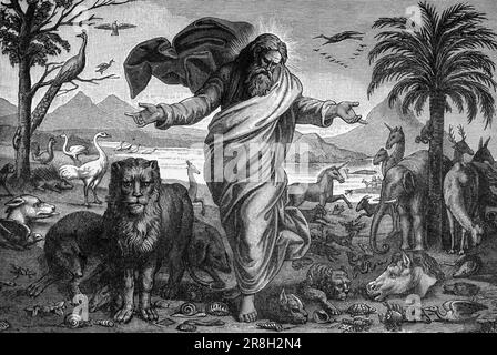 Fünfter Tag der Schöpfung, Psalm 8, Altes Testament, Bibel, historische Illustration 1890 Stockfoto