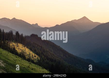 Alpenwiesen auf Grabenbergalm in den Tiroler Alpen mit der Halserspitze, die im Frühjahr bei Sonnenuntergang von der Sonne beleuchtet wird Stockfoto