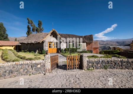 Perù. Colca-Tal. - In der Raststätte Stockfoto