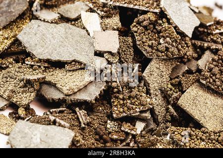 Manganproben, in der Industrie verwendetes, reines Mangan-Metall mit Flocken, isolierter weißer Hintergrund. Stockfoto