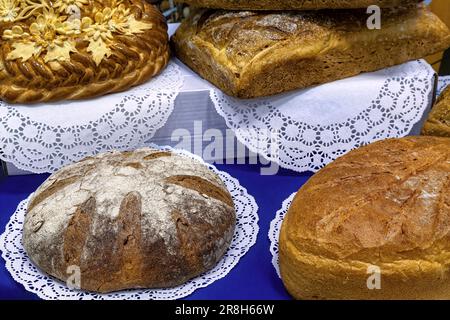 Verschiedene traditionelle handgemachte Brote auf den Regalen in der Bäckerei. Brothintergrund. Stockfoto