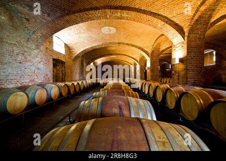 Ceretto Aziende Vitivinicole. San Cassiano. Alba. Piemont. Italien Stockfoto