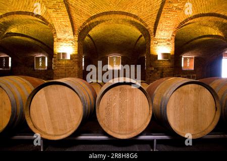 Ceretto Aziende Vitivinicole. San Cassiano. Alba. Piemont. Italien Stockfoto