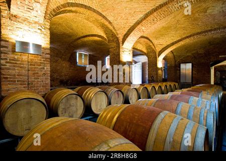 Ceretto Aziende Vitivinicole. San Cassiano. Alba. Piemont. Italien Stockfoto