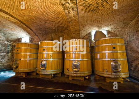 Ceretto Aziende Vitivinicole. San Cassiano. Alba. Piemont. Italien Stockfoto