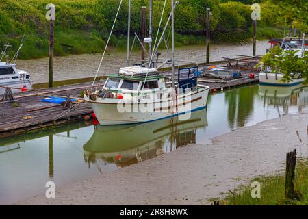 Extreme Ebbe im Scotch Pond in Steveston, British Columbia, Kanada Stockfoto