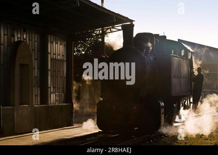 Eritreische Eisenbahn. Von Asmara nach Massawa. Eritrea Stockfoto