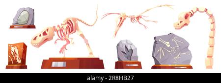 Cartoon-Set aus Dinosaurierskeletten und Fossiliensteinen mit prähistorischen Tierabdrücken isoliert auf weißem Hintergrund. Vektordarstellung von archäologischen Museumsausstellungen auf Ständen, alten Felsen, Dino-Knochen Stock Vektor