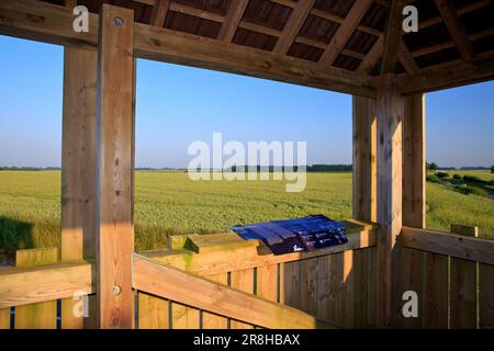 Ein Panoramablick über das eigentliche Schlachtfeld der Schlacht von Agincourt (1415) vom Aussichtspunkt in Maisoncelle (Pas-de-Calais), Frankreich Stockfoto