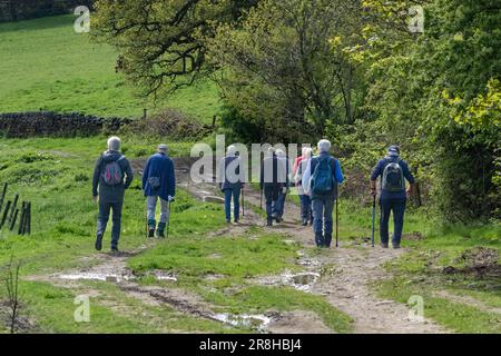 Eine Gruppe pensionierter Männer, die auf dem Land spazieren gehen. (Rentner zur freien Verfügung. Eine Gruppe von Männern. Männliche Gehhilfen). Stockfoto