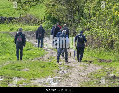 Eine Gruppe pensionierter Männer, die auf dem Land spazieren gehen. (Rentner zur freien Verfügung. Eine Gruppe von Männern. Männliche Gehhilfen). Stockfoto