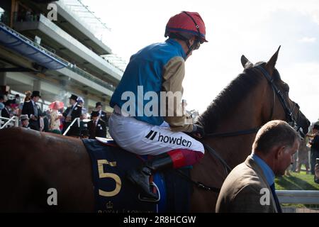 Ascot, Berkshire, Großbritannien. 21. Juni 2023. Jockey Frankie Dettori gewinnt das Vase-Rennen der Königin bei Ascot Races auf dem Pferd Gregory. Er war begeistert von Rennfahrern, die in der Siegerpackung sein Markenzeichen „Flying Dismount“ machten. Das war der Sieg der Royal Ascot für Jockey Frankie Dettori. Kredit: Maureen McLean/Alamy Live News Stockfoto