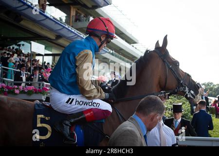 Ascot, Berkshire, Großbritannien. 21. Juni 2023. Jockey Frankie Dettori gewinnt das Vase-Rennen der Königin bei Ascot Races auf dem Pferd Gregory. Er war begeistert von Rennfahrern, die in der Siegerpackung sein Markenzeichen „Flying Dismount“ machten. Das war der Sieg der Royal Ascot für Jockey Frankie Dettori. Kredit: Maureen McLean/Alamy Live News Stockfoto