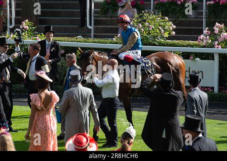 Ascot, Berkshire, Großbritannien. 21. Juni 2023. Jockey Frankie Dettori gewinnt das Vase-Rennen der Königin bei Ascot Races auf dem Pferd Gregory. Er war begeistert von Rennfahrern, die in der Siegerpackung sein Markenzeichen „Flying Dismount“ machten. Das war der Sieg der Royal Ascot für Jockey Frankie Dettori. Kredit: Maureen McLean/Alamy Live News Stockfoto