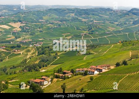 Ich Bin Langhe. Provinz Cuneo. Landschaft Von La Morra Langhe. Piemont. Italien Stockfoto