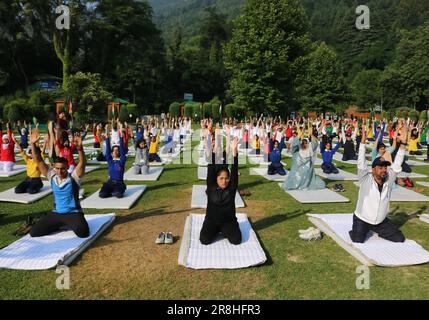 Srinagar, Indien. 21. Juni 2023. 21. Juni 2023, Srinagar Kaschmir, Indien: Zum Internationalen Yoga-Tag in Srinagar führen die Menschen Yoga auf. Im Dezember 2014 erklärten die Vereinten Nationen den 21. Juni zum Internationalen Tag von Yoga, nachdem sie eine vom indischen Premierminister Narendra Modi vorgeschlagene Resolution verabschiedet hatten. Am 21. Juni 2023 in Srinagar Kashmir, Indien. (Foto: Firdous Nazir/Eyepix Group) Kredit: Eyepix Group/Alamy Live News Stockfoto