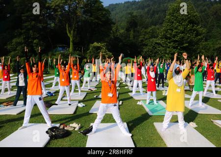 Srinagar, Indien. 21. Juni 2023. 21. Juni 2023, Srinagar Kaschmir, Indien : Schüler führen Yoga zum Internationalen Yoga-Tag in Srinagar auf. Im Dezember 2014 erklärten die Vereinten Nationen den 21. Juni zum Internationalen Tag von Yoga, nachdem sie eine vom indischen Premierminister Narendra Modi vorgeschlagene Resolution verabschiedet hatten. Am 21. Juni 2023 in Srinagar Kashmir, Indien. (Foto: Firdous Nazir/Eyepix Group) Kredit: Eyepix Group/Alamy Live News Stockfoto