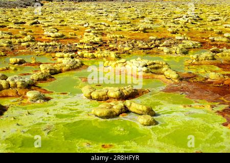 Schwefelsäureteich Dallol ist ein Vulkan. Danakil-Depression. Äthiopien Stockfoto