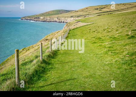 Dorset Jurassic Coast auf südwestlichem Küstenpfad zwischen Dancing Ledge und Seacombe Cliff an einem sonnigen Tag mit Stacheldrahtzaun. Stockfoto