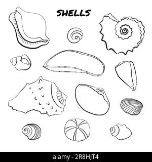 Satz von handgezeichneten Schalen, isoliert auf weiß Stock Vektor