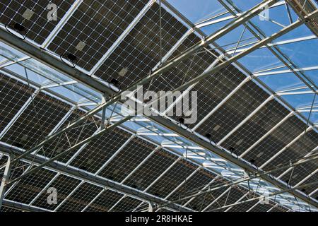 Photovoltaik-Solar-Gewächshaus. Merlino Azienda Agricola San Maurizio. Merlino. Provinz Lodi. Italien Stockfoto