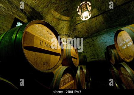 Il Mosnel Cellars. Camignone Di Passirano. Franciacorta. Lombardei. Italien Stockfoto