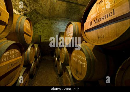 Il Mosnel Cellars. Camignone Di Passirano. Franciacorta. Lombardei. Italien Stockfoto