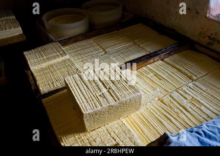 Locatelli Dairy auf der Weide. Taleggio-Tal. Lombardei. Italien Stockfoto