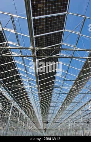 Photovoltaik-Solar-Gewächshaus. Merlino Azienda Agricola San Maurizio. Merlino. Provinz Lodi. Italien Stockfoto