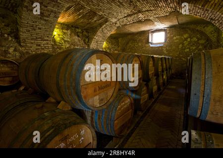 Il Mosnel Cellars. Camignone Di Passirano. Franciacorta. Lombardei. Italien Stockfoto