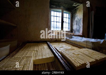 Locatelli Dairy auf der Weide. Taleggio-Tal. Lombardei. Italien Stockfoto