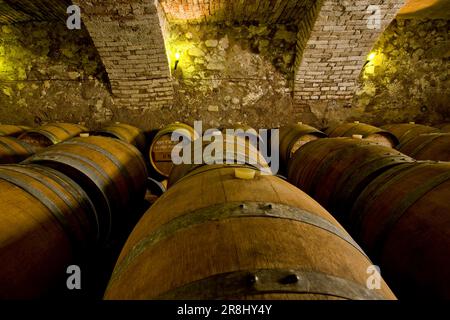 Il Mosnel Cellars. Camignone Di Passirano. Franciacorta. Lombardei. Italien Stockfoto