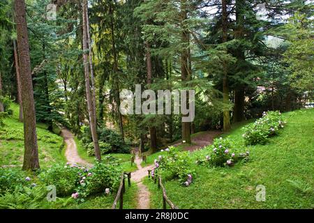 Recoaro Terme. Gartentherme Stockfoto