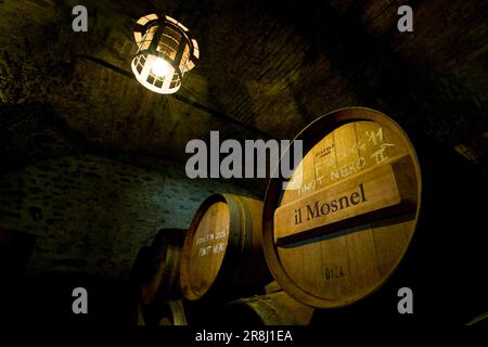 Il Mosnel Cellars. Camignone Di Passirano. Franciacorta. Lombardei. Italien Stockfoto